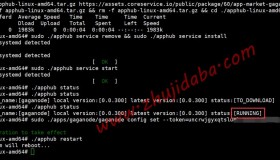 Gaganode:通过VPS运行gaganode赚取MSN积分 Gaganode:通过VPS运行gaganode赚取MSN积分